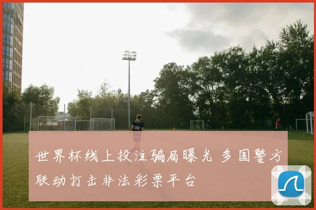 世界杯线上投注骗局曝光 多国警方联动打击非法彩票平台