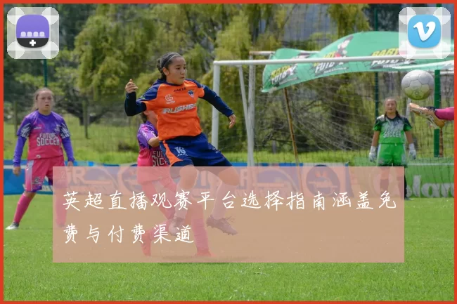 英超直播观赛平台选择指南涵盖免费与付费渠道