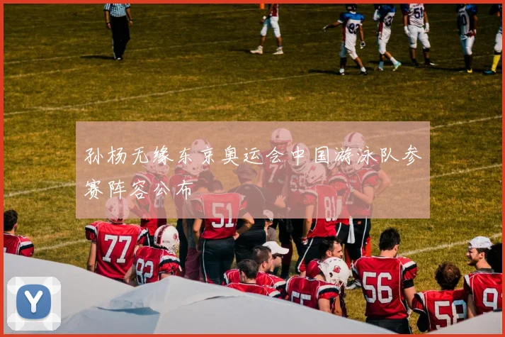 孙杨无缘东京奥运会中国游泳队参赛阵容公布