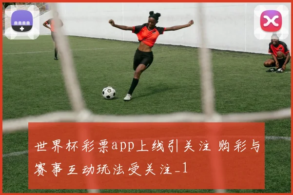 世界杯彩票app上线引关注 购彩与赛事互动玩法受关注_1
